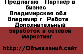 Предлагаю : Партнёр в бизнес   - Владимирская обл., Владимир г. Работа » Дополнительный заработок и сетевой маркетинг   